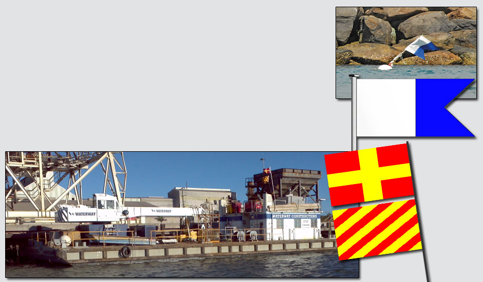 Common Code Flags